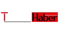 Hangi Çiçek Hangi Mevsimde Açıyor?